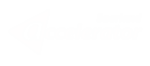 accelerator.png